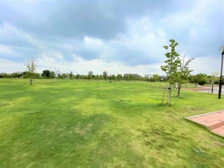 写真：新河岸東公園