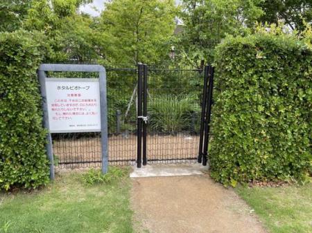 写真：ビオトープ1