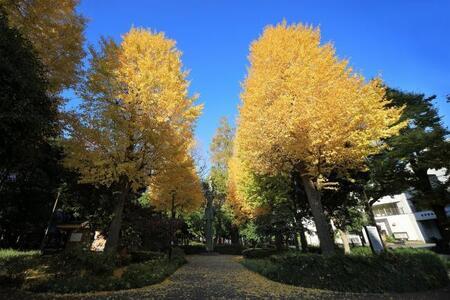 写真：滝野川公園