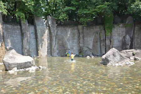 写真:壁泉の前の大池