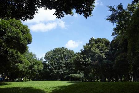 写真：中央公園2