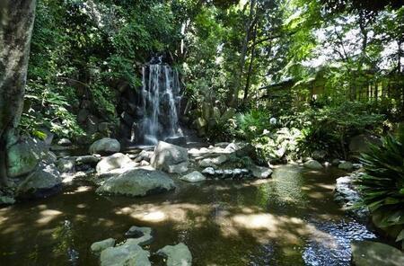 写真：名主の滝公園