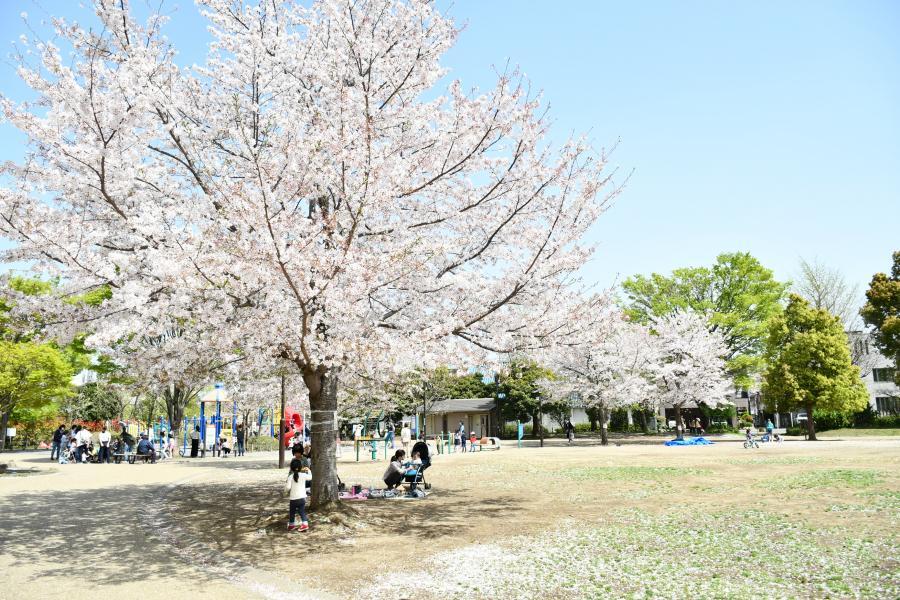 写真：西ヶ原みんなの公園