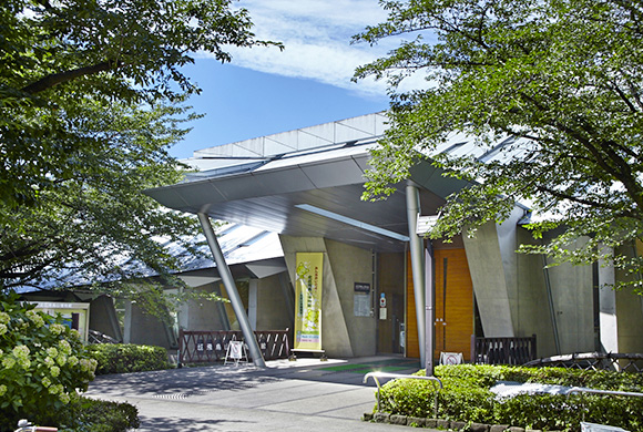 写真：飛鳥山博物館