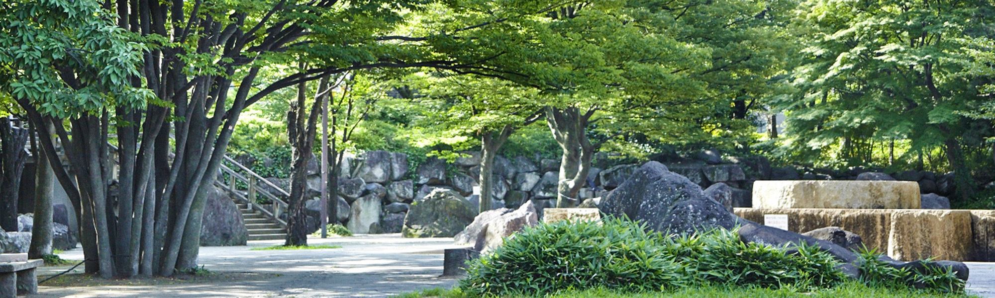 写真：飛鳥山公園