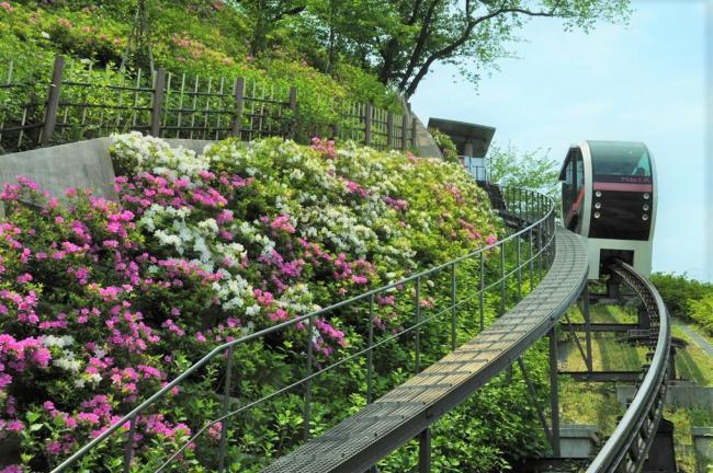 写真：アスカルゴ