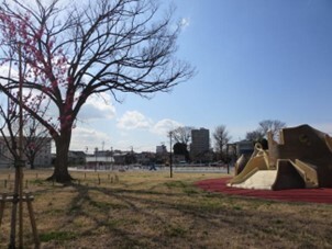 写真:赤羽台けやき公園1