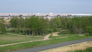 写真:豊島五丁目荒川緑地(豊島5丁目6番先)令和5年7月26日開園1