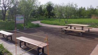 写真:豊島五丁目荒川緑地(豊島5丁目6番先)令和5年7月26日開園2