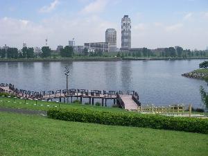 写真:荒川河川敷地