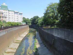 写真:石神井川