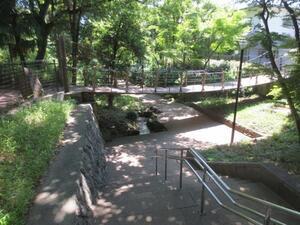 写真:緑地公園(音無さくら緑地)