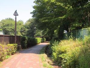 写真:石神井川遊歩道