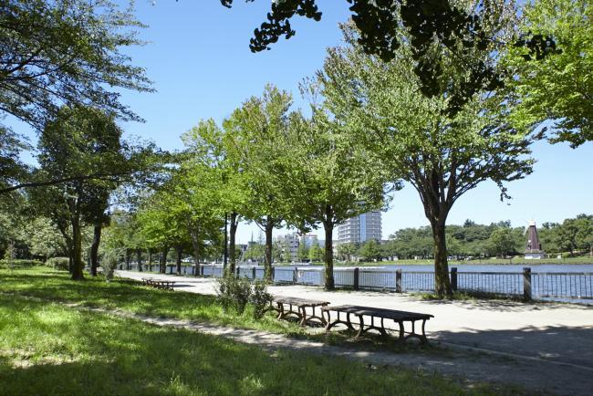 写真：都立浮間公園