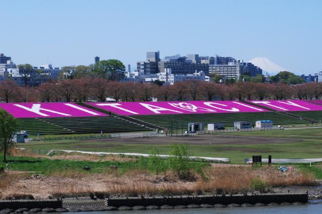 写真：荒川赤羽桜堤緑地