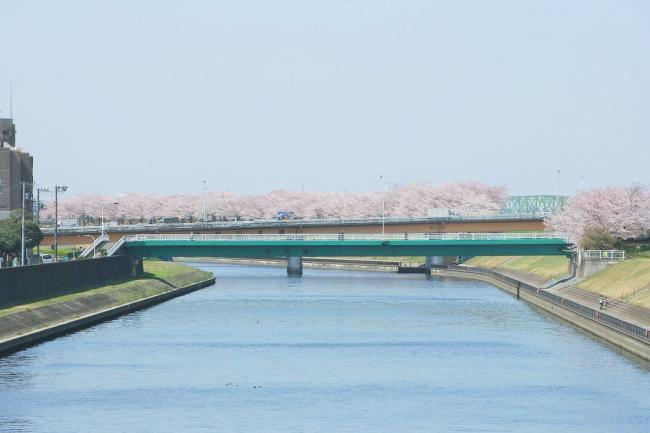 写真：岩淵橋