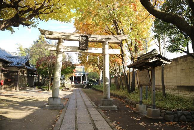 写真：八雲神社