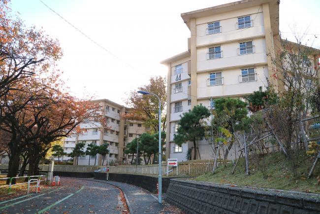 写真：赤羽台団地と季節の風景