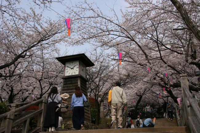 写真：飛鳥山公園の風景と飛鳥の小径