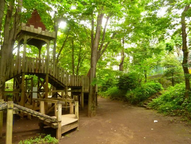 写真：音無くぬぎ緑地