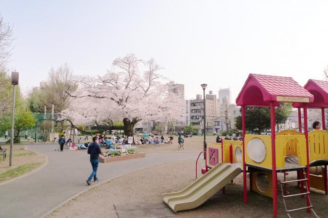 写真：南谷端公園