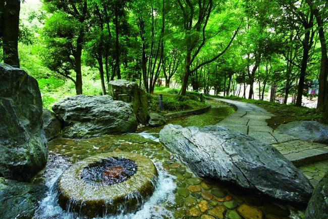 写真：滝野川公園