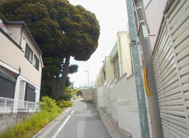 写真：聖学院小学校脇の坂道