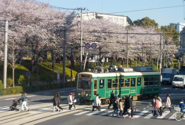 写真：まちを走る都電