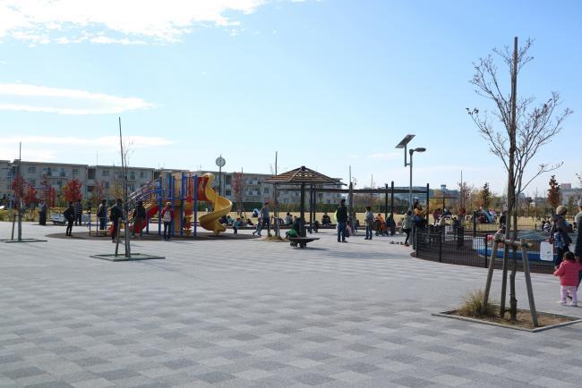 写真：新河岸東公園