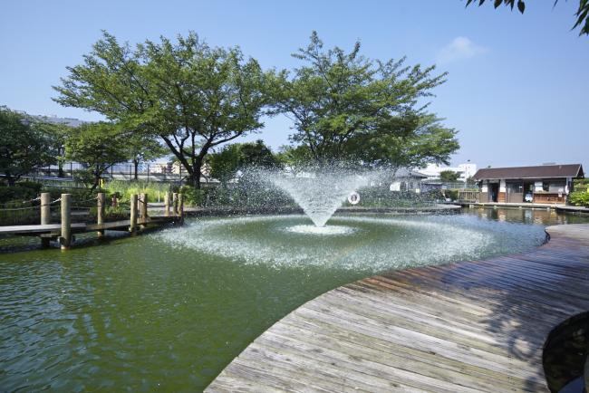 写真：浮間つり堀公園