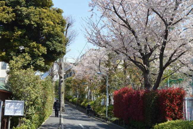 写真：聖学院小学校周辺の坂道