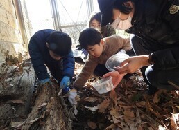 生きものをさがそう