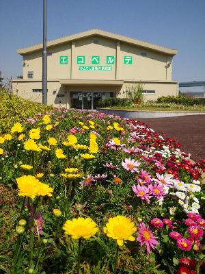 写真：エコベルデ