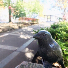 写真：てくてくきたくの赤羽緑道