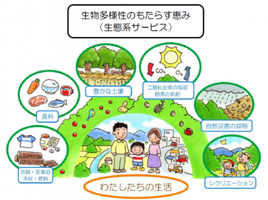 イラスト:生物多様性のもたらす恵み