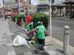 第21期のみどりの協力員とNPOわくわくかんと一緒に植え替え作業