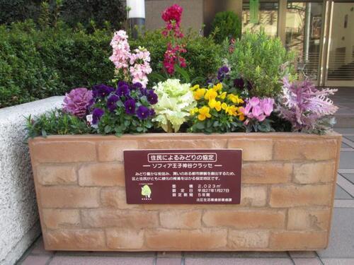 写真:ソフィア王子神谷