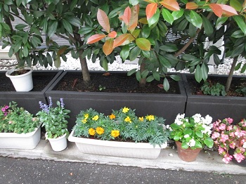 モデル地区緑化