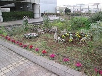 写真:北とぴあ屋上花壇