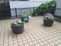 写真:上中里駅前のプランター