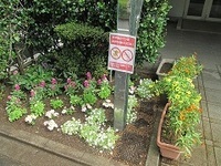 写真:きらりあ北の花壇