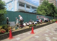写真:滝野川第二小学校脇花壇
