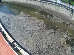 写真：スカムの発生状況(鑓溝橋付近)