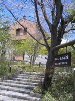 写真：しらかば荘