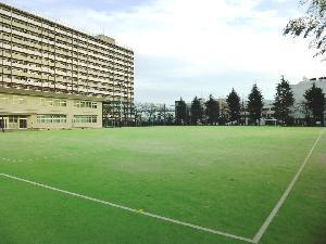 写真：豊島北スポーツ多目的広場