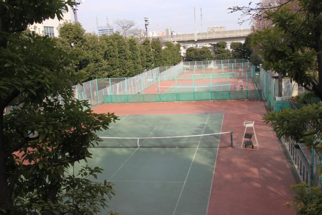 写真：滝野川体育館テニスコート