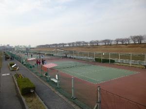 写真：新河岸川庭球場