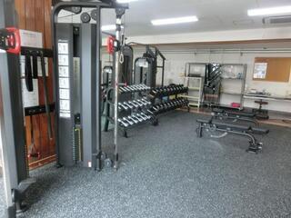 写真:桐体トレジム1