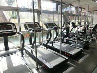 写真:桐体トレジム2