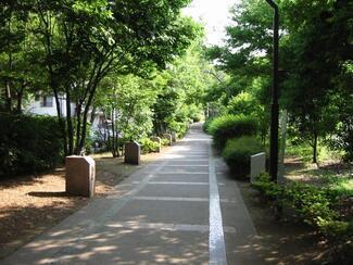 写真:赤羽緑道公園